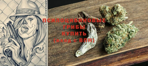 тгк Лагань