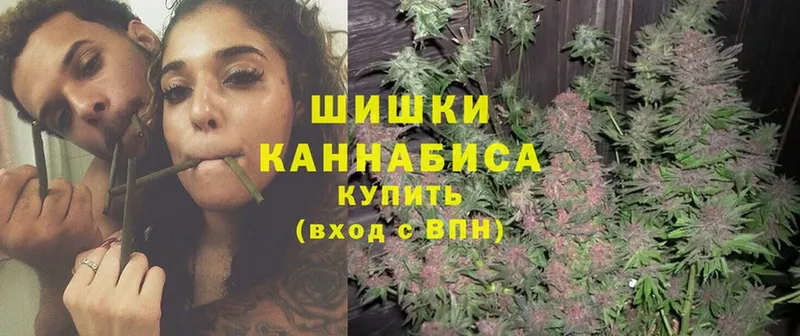 Конопля SATIVA & INDICA  где найти наркотики  МЕГА ТОР  Мензелинск 